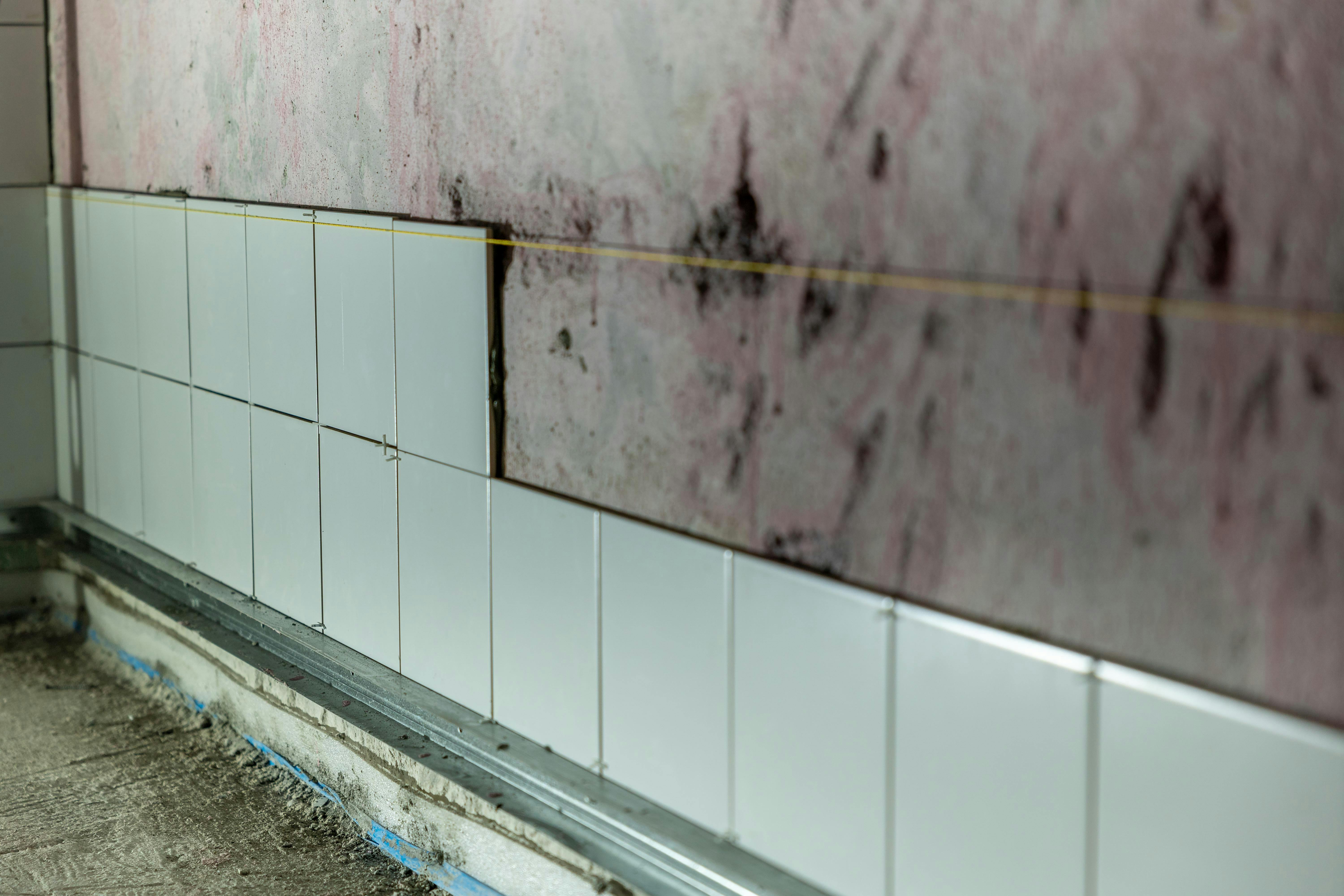Mold & Mildew Remediation